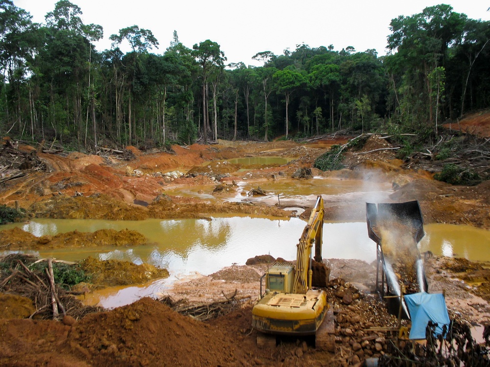 a forest that has been decimated by tree felling with mud and large lakes of water, with an untouched forest in the background 