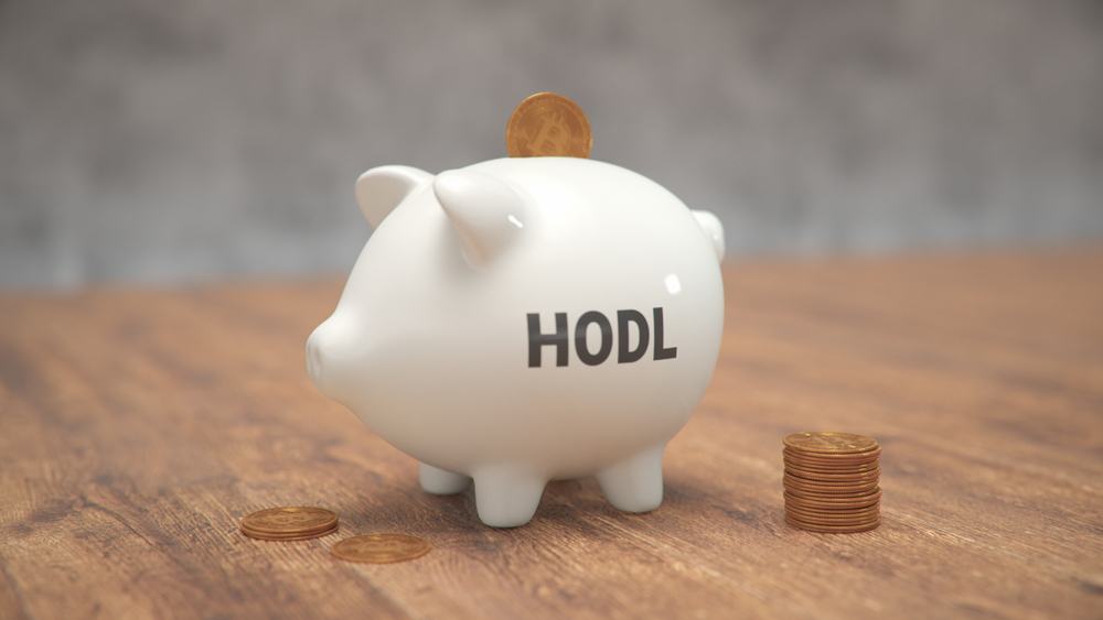 White Ceramic Piggy Bank With Physical Bitcoins and the word  "hodl" printed in grey bold letters