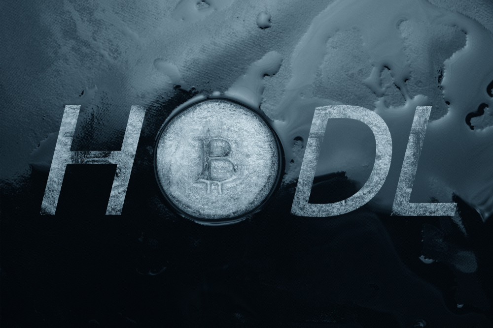 what does hodl mean? hodl meme etched into ice and water 