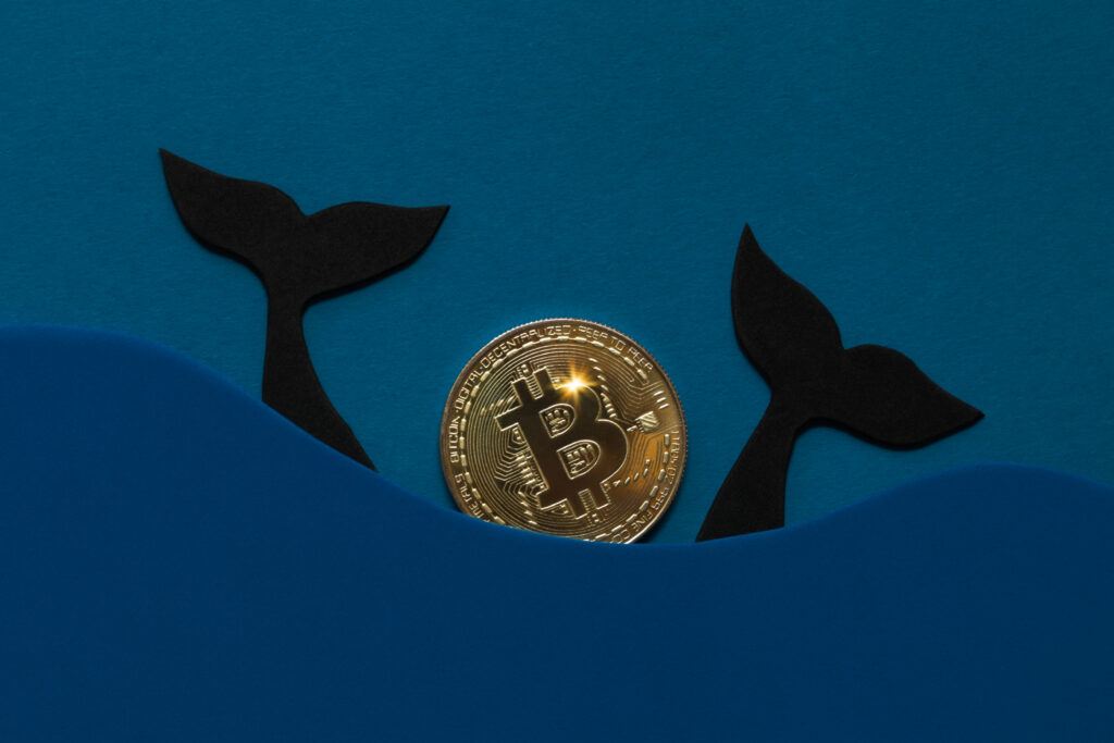 A felt image of an ocean and two whale tales, with a physical bitcoin between them.  