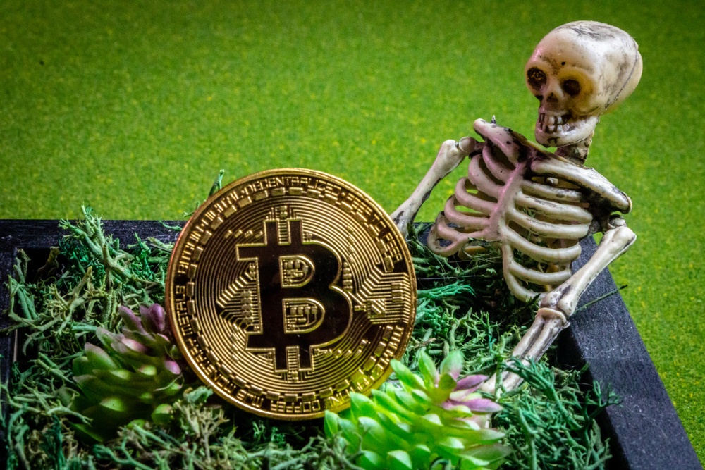 A garden planter with grass, some plastic succulents, a plastic skeleton, and a physical bitcoin 