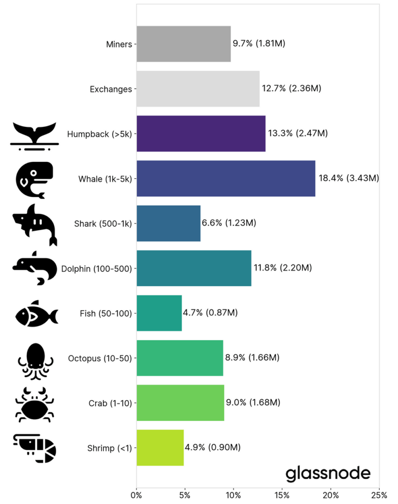 A bar graph showing the amounts of bitcoins owned by different groups of people, including whales, dolphins, fish, and crabs.  