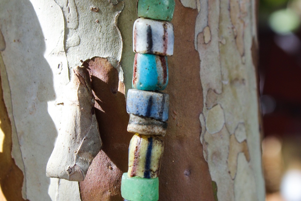 african trade beads on tree with colorful bark 