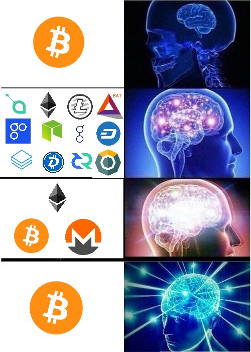 the mental journey of a bitcoin maximalist. galaxy brain meme 