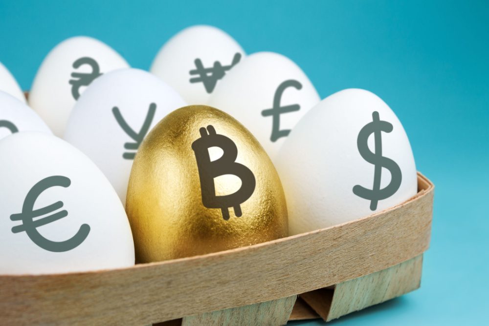 investing in bitcoin. bitcoin versus other currencies. golden bitcoin egg in basket of other standard white eggs labeled with currency signs 