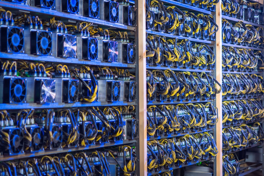 wall of hundreds of bitcoin mining ASICs with blue accents and yellow wires 