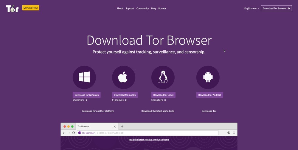 download tor browser for robosats 